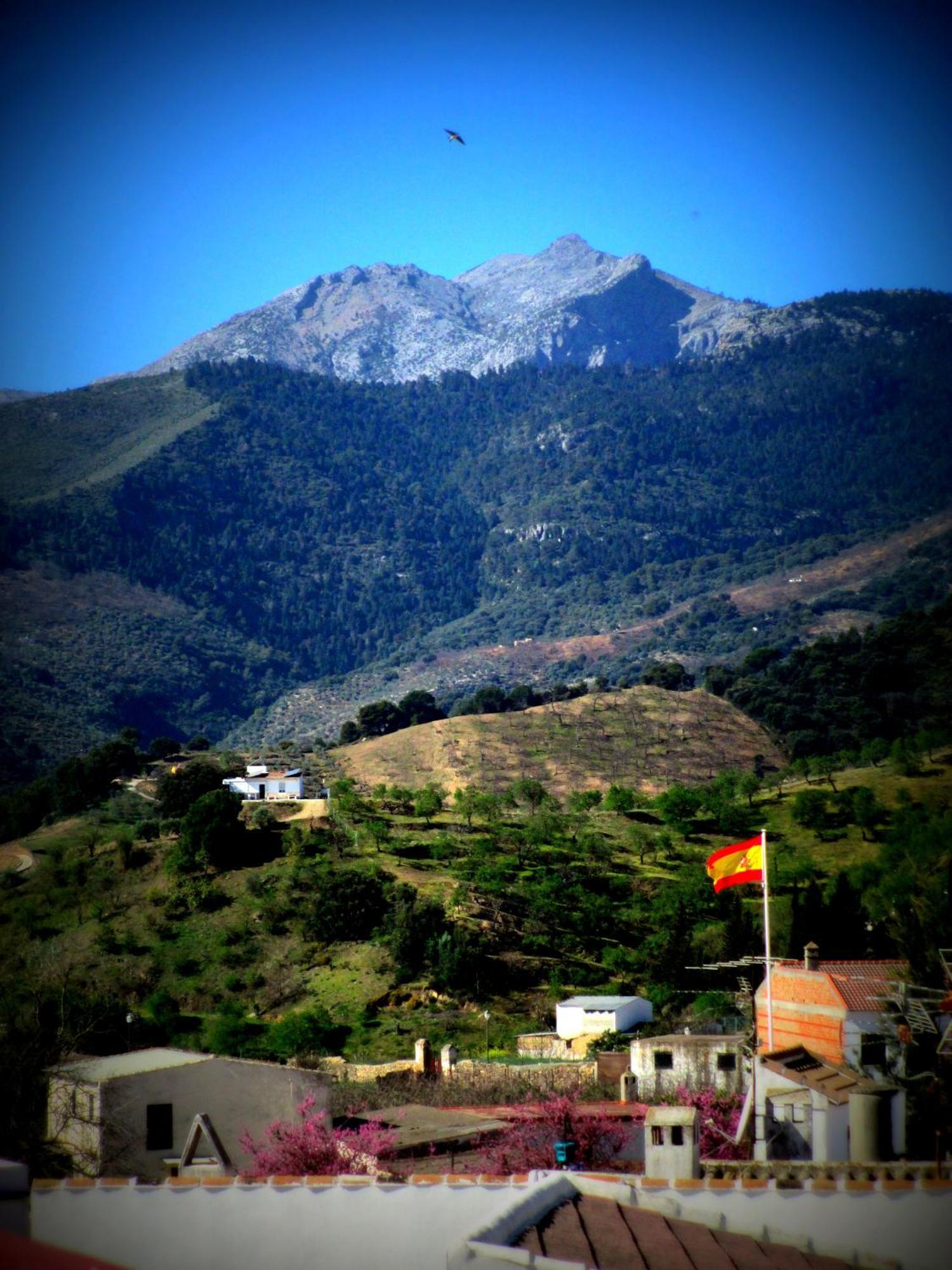 Casa Rural Torrecilla, 1919 Yunquera Luaran gambar